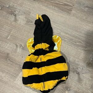 Baby Bumblebee 🐝
